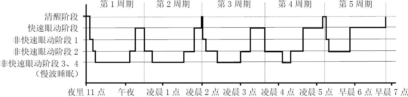 睡眠时相序列图，图片来自《我们为什么要睡觉》